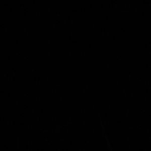 Meet your Posher, Jake